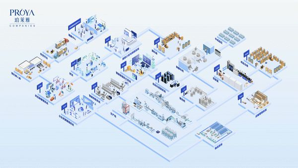 全流程智能化引領(lǐng)行業(yè)未來 珀萊雅股份湖州分公司獲評2023年浙江省技術(shù)開發(fā)榮譽(yù)